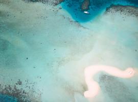Maldives Dhoni Cruise - 7 Days