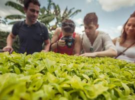 Colombia Express - 9 Days