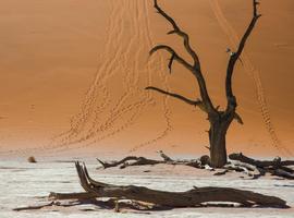 Dunes, Deltas & Falls Discoverer - 18 Days