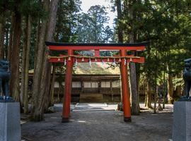 Japan Express – Osaka to Tokyo - 9 Days
