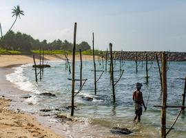 Sri Lanka Encompassed - 14 Days