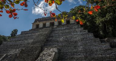 Mayan Trail - 11 Days