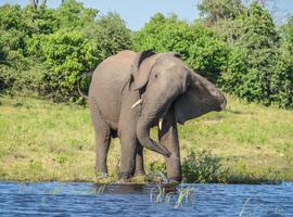Botswana & Victoria Falls Adventure - 8 Days