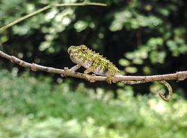Highlights of Madagascar - 14 Days