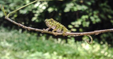Highlights of Madagascar - 14 Days