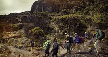 Mt Kilimanjaro Trek - Machame Route (8 Days) - 8 Days