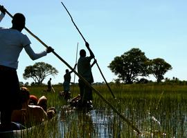 Delta & Falls Eastbound: Baobab Trees & River Views - 9 Days