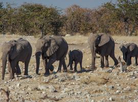 Delta & Falls Westbound: Natural Wonders & Wildlife - 8 Days