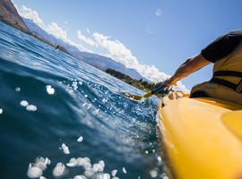 New Zealand: Best of the North Island - 7 Days