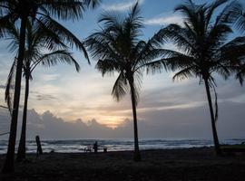 Costa Rica: Ocean Waves & Sunsets - 8 Days
