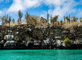 Galápagos Adventure: Snorkelling & Sea Lions - 9 Days