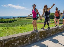 Walk the Camino de Santiago - 8 Days