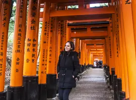 Epic Japan: Speed Trains & Street Food - 11 Days
