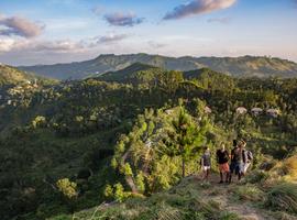 Sri Lanka: Spice Gardens & Seasides - 12 Days