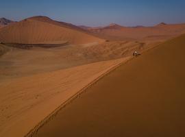 Cape & Dunes Northbound: Wildlife & Starry Night Skies - 13 Days