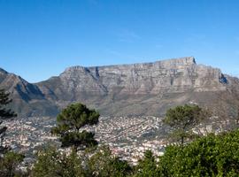 Cape & Dunes Southbound: Desert Camping & Safari Drives - 14 Days