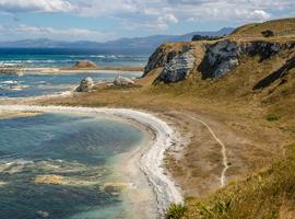 Highlights of New Zealand - 15 Days