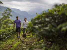 Journeys: Discover Sri Lanka - 12 Days