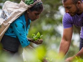Journeys: Discover Sri Lanka - 12 Days