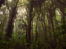 Journeys: Highlights of Costa Rica - 9 Days