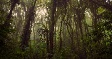Journeys: Highlights of Costa Rica - 9 Days