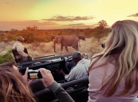 Journeys: Explore Kruger National Park - 7 Days