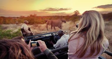 Journeys: Explore Kruger National Park - 7 Days