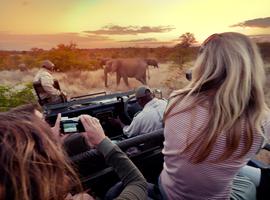 Journeys: Explore Kruger National Park - 7 Days