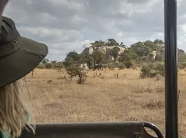 Journeys: Explore Kruger National Park - 7 Days