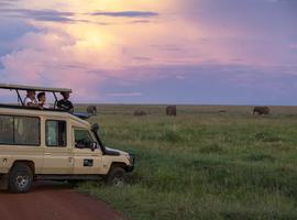Journeys: Tanzania Safari Experience - 7 Days