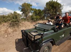 Journeys: Explore Cape Town & Kruger National Park - 10 Days