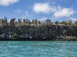 Galápagos — South & East Islands aboard the Yolita - 7 Days