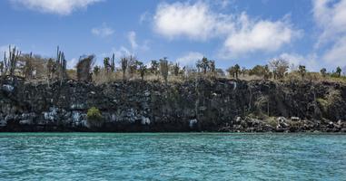 Galápagos — South & East Islands aboard the Yolita - 7 Days