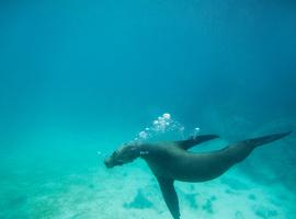 Galápagos Land & Sea — Central & South Islands aboard the Yolita - 7 Days