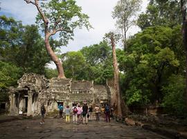 Ancient Angkor Wat Independent Adventure - 3 Days