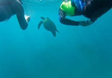 Image 1 of 14
