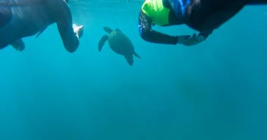 Galápagos Multisport - 10 Days