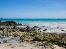 Galápagos Island Hopping - 9 Days