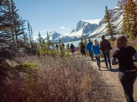 Journeys: Discover the Canadian Rockies - Westbound - 12 Days