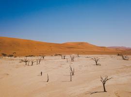 Journeys: Discover Namibia & Victoria Falls - 12 Days
