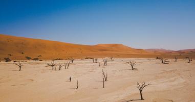 Journeys: Discover Namibia & Victoria Falls - 12 Days