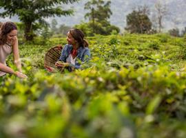 India to Sri Lanka: The Pink City & Spice Gardens - 32 Days