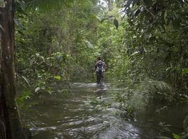 Inland & Amazon - 14 Days