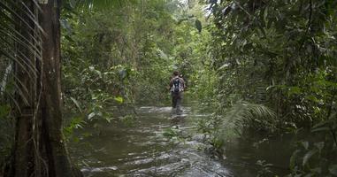 Inland & Amazon - 14 Days
