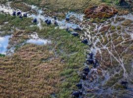 Journeys: Southern Africa Safari Experience - 18 Days