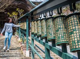 Japan: Castles & Cuisine - 6 Days