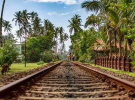Sri Lanka Land & Sea - 14 Days