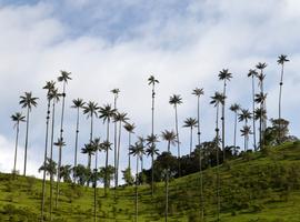 Journeys: Explore Colombia - 9 Days