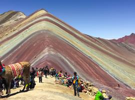 Peru: Inca Jungle & Rainbow Mountain Trek - 7 Days