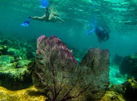 Journeys: Explore Belize - 9 Days